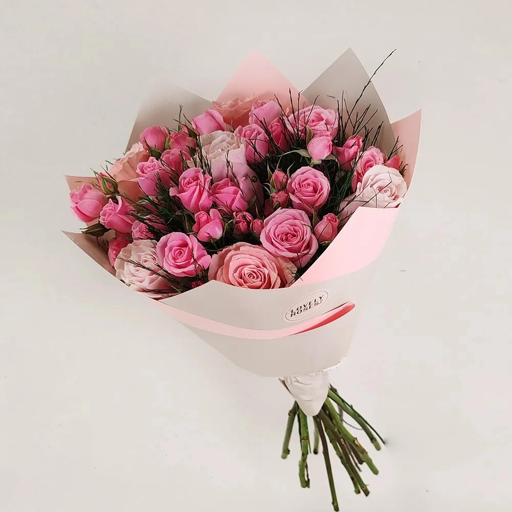 სუკულენტების ნაკრები